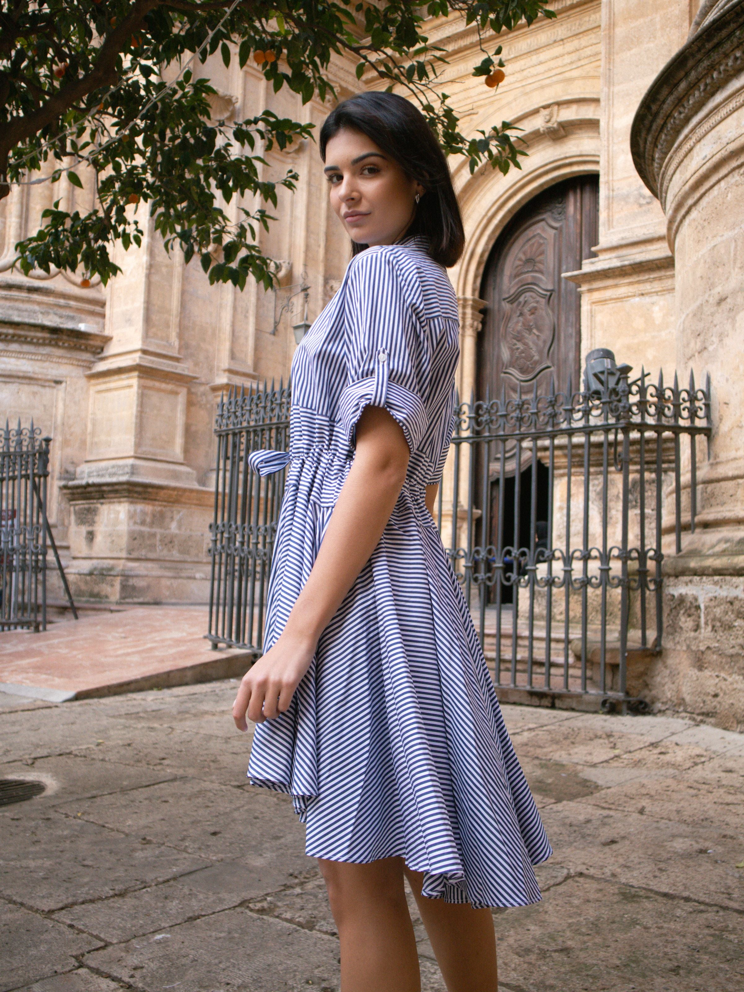 Harshman Meadow Striped Shirtdress Navy Stripe