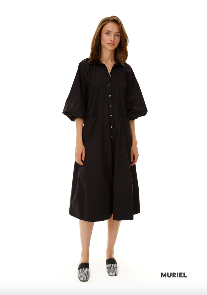 Muriel Shirt Dress